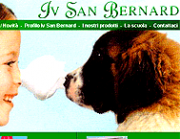 Iv San Bernard