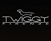 Twiggy v2